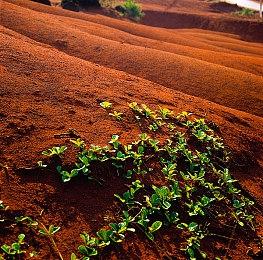 《F1 25》新预告片 展示游戏真实度和大量可定制选项